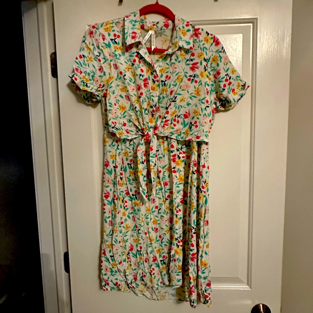 Seraphine Maternity Dress